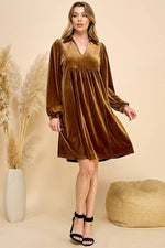 Feelin' Festive Velvet Dress